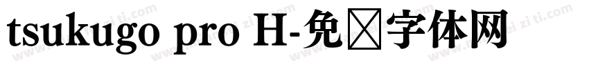 tsukugo pro H字体转换